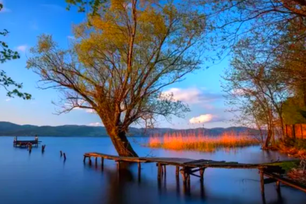 Sapanca & Maşukiye Nature Tour: Private Luxury Tour from Istanbul