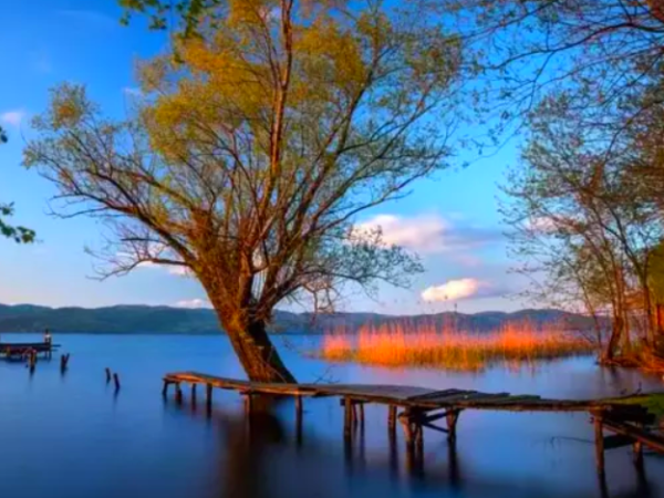 Sapanca & Maşukiye Nature Tour: Private Luxury Tour from Istanbul