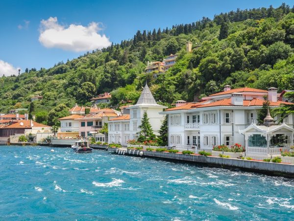 Princes’ Islands Tour: Büyükada & One More Island with Lunch