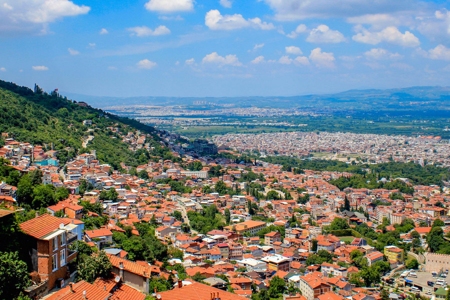 Bursa